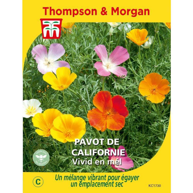 Graines de Pavot de Californie Vivid