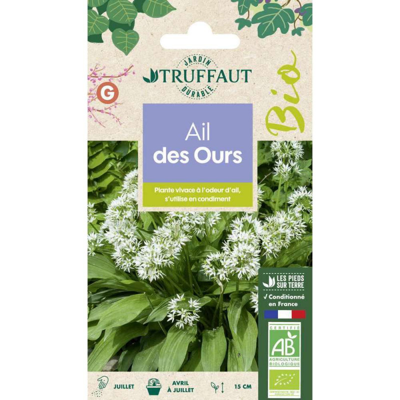 Graines d'ail des Ours Bio