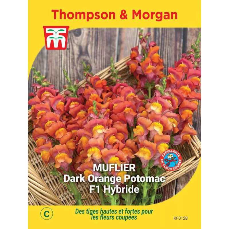 Graines de Muflier Dark Orange Potomac F1