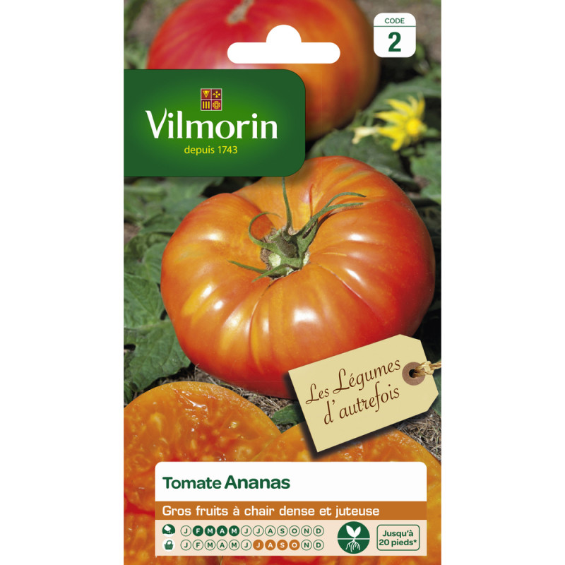 Graines de tomate Ananas