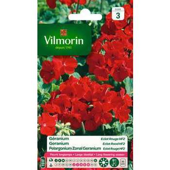 Géranium HF2 Éclat rouge : en sachet
