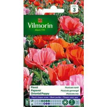 Pavot Pizzicato en mélange : en sachet