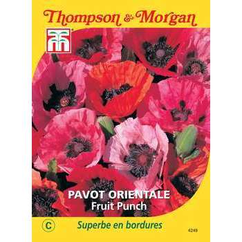 pavot orientale fruit punch