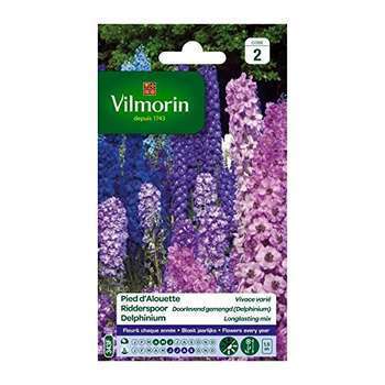 Pied d'alouette (Delphinium) vivace varié : en sac