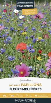 Prairies fleuries : j'invite les papillons 30 m2