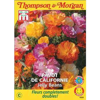 Pavot de californie jelly beans