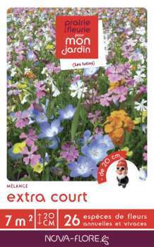 Mélange fleuri extra court 7m2 : En boite