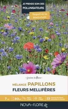 Prairies fleuries : j'invite les papillons 7 m2