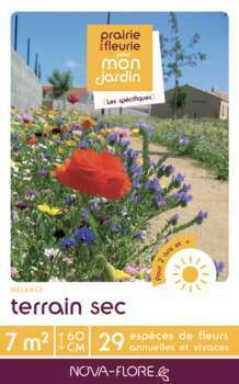 Mélange fleuri Terrain sec 7m2 : En boite