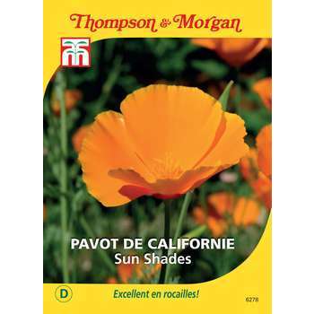 Pavot de cal. mexicana sun shades