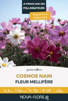 Cosmos nain