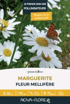 Marguerite