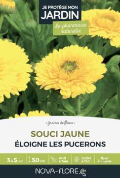 Souci jaune