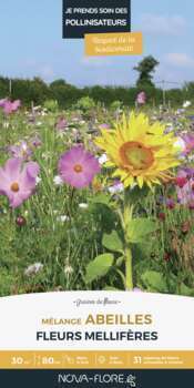 Prairies fleuries : je fais la vie belle aux abeil