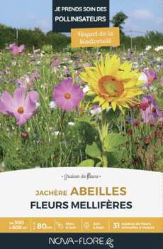 Prairies fleuries : jachère abeilles 300 à 600 m2