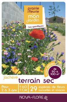 Mélange fleuri  Terrain sec 500 g - En boite