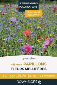 Mélange fleuri  Papillons vivaces 16 g - En boite