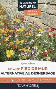 Mélange fleuri  Pied de mur  60 g - En boite