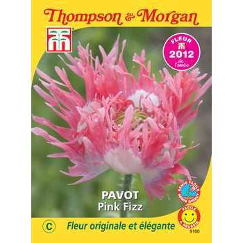 graines de fleur: pavot pink fizz 0. 1645 grammes