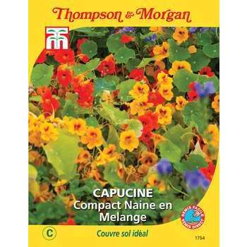 Capucine Compact Nain en Mél.