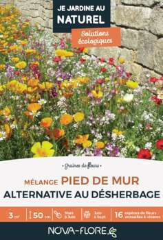 Mélange fleuri  Pied de mur  16 g - En boite