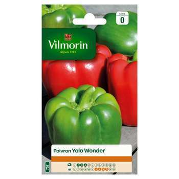 Graines de poivron Yolo Wonder en sachet
