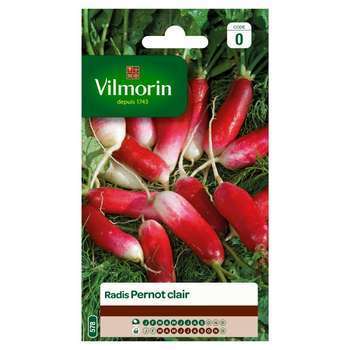 Graines de radis Pernot Clair en sachet