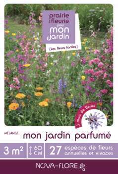 Parfumé_ mon jardin parfumé_ 3m²