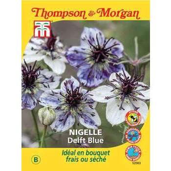 Nigelle Delft Bleue