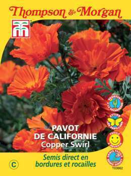 sachet de semence