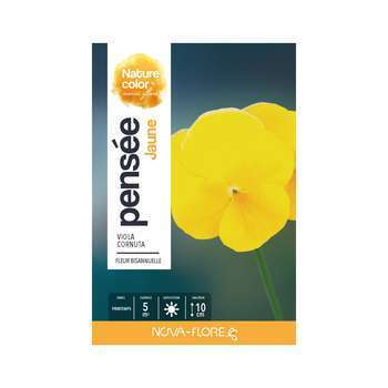 Pensée : jaune