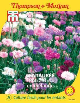 sachet de semence