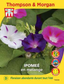 sachet de semence