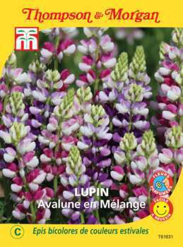 sachet de semence