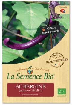 Graines potagères Aubergine Japanese Pickling Bio