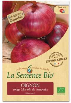 Graines potagères Oignon rouge Morada de Amposta B