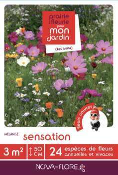 Mélange court Sensation : boite