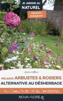 Mélange spécifique arbustes et rosiers : boite