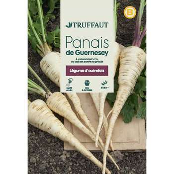 Graines de Panais demi-long de Guernesey en sachet