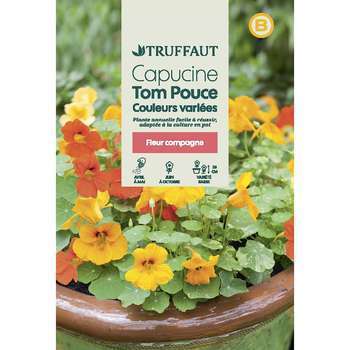 Capucine Naine tom Pouce : en Sachet