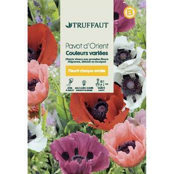 Pavot dOrient couleur variée : en sachet