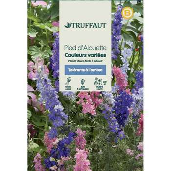 Pied dalouette imperial double varié : en sachet
