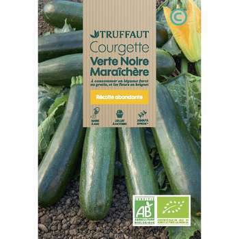Graines de courgette verte noire Maraichere Bio en