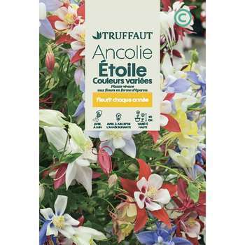 Ancolie étoile Variée : En sachet