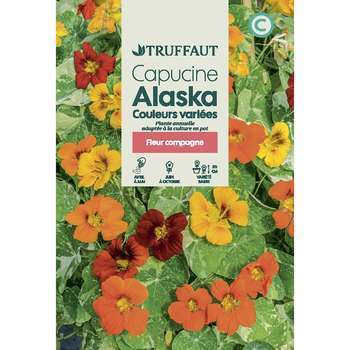 Capucine Alaska couleur variée : En sachet