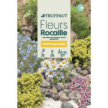 Fleurs vivaces en mélange massifs et rocailles : g