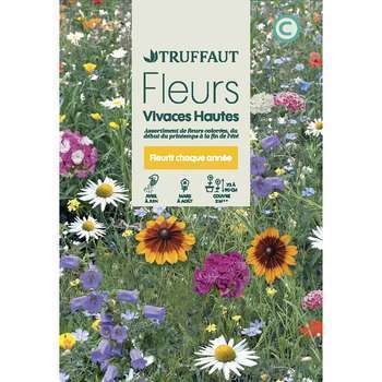 Fleurs vivaces hautes mélange bouquets massifs hau