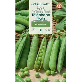 Graines de pois nain à grain ridé Telephone nain e