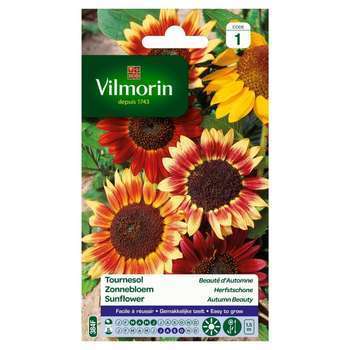 Tournesol Beauté dAutomne 3 g