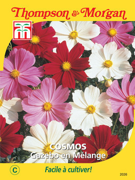 sachet de semence